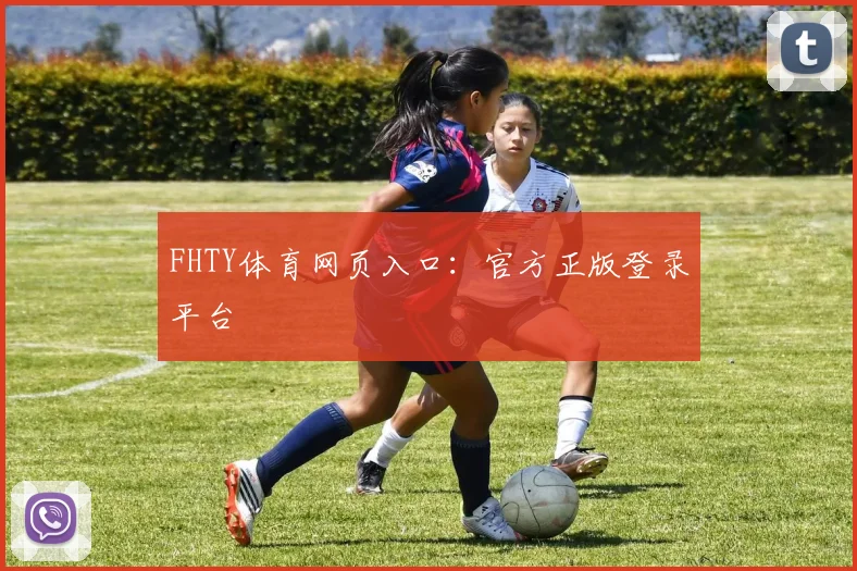 FHTY体育网页入口：官方正版登录平台